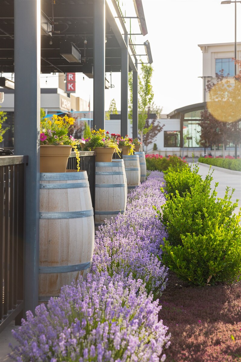 Thrive Landscape Services