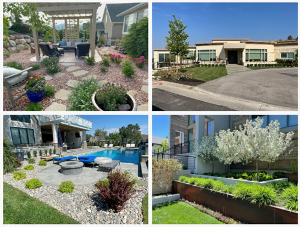Thrive Landscape Services