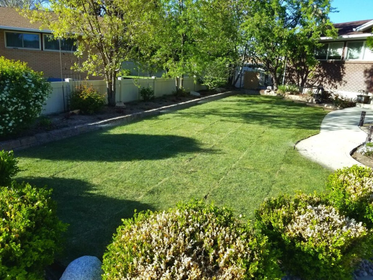 Utah Turf